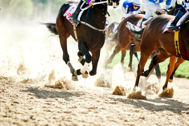 ゼロ初心者のアフィリエイト教室 | 競馬ブログの作り方!楽しみながら収益化するコツを暴露します!! ゼロ初心者のアフィリエイト教室 | 競馬ブログの作り方!楽しみながら収益化するコツを暴露します!!